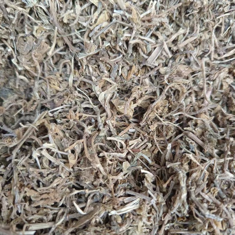 中药材垂盆草新货干净无杂质现货供应品种齐全量大从优