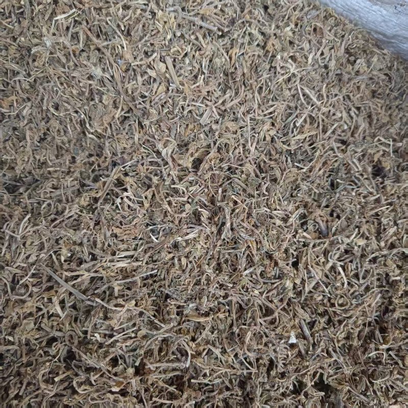 中药材垂盆草新货干净无杂质现货供应品种齐全量大从优