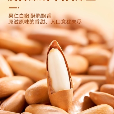 巴西松子手剥长粒新货大颗粒