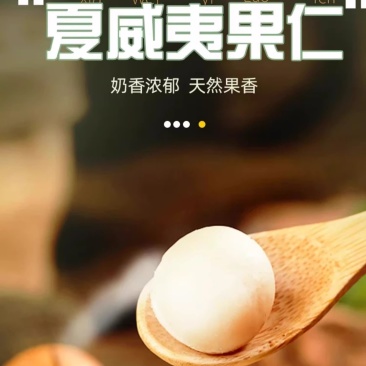 新货夏威夷坚果仁果仁无壳奶香味休闲零食批发