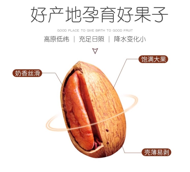 爆壳碧根果新货大颗粒长寿果孕妇干果零食坚果炒货