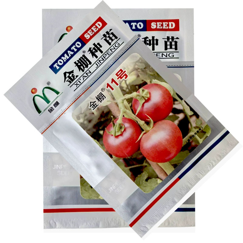 金棚种苗金棚11号西红柿种子抗TY硬粉春秋大面积种植
