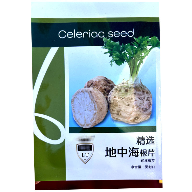 地中海根芹种子香味浓郁易种植耐热耐寒春秋大田种植