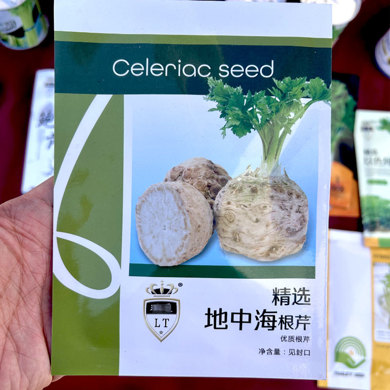 地中海根芹种子香味浓郁易种植耐热耐寒春秋大田种植