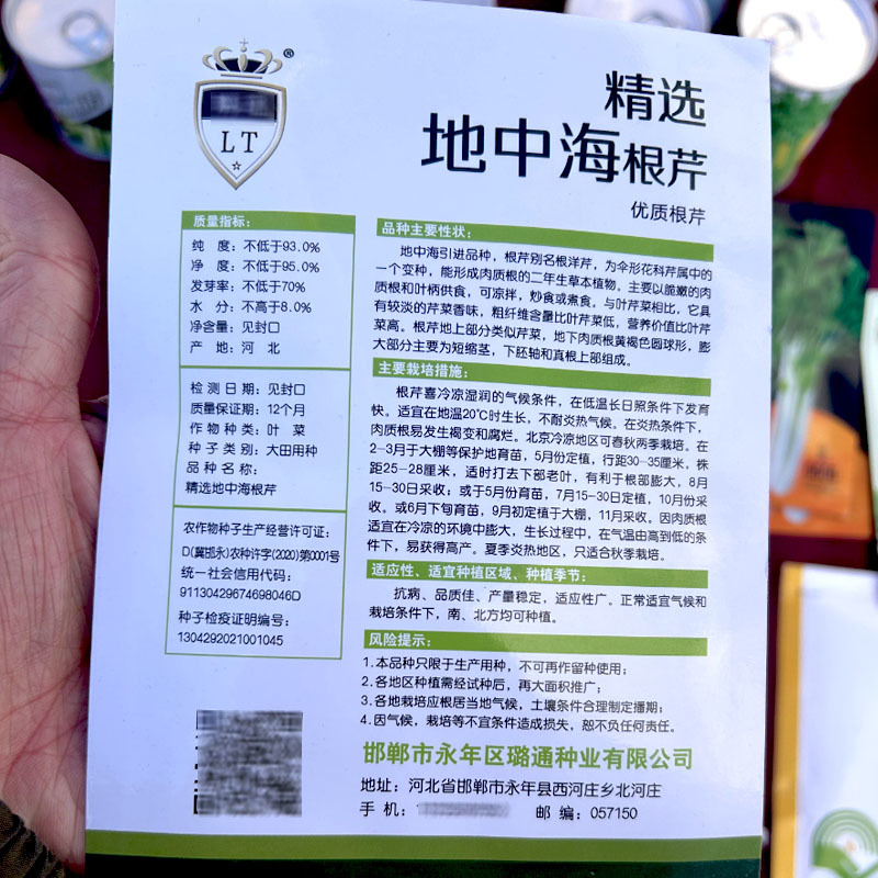 地中海根芹种子香味浓郁易种植耐热耐寒春秋大田种植