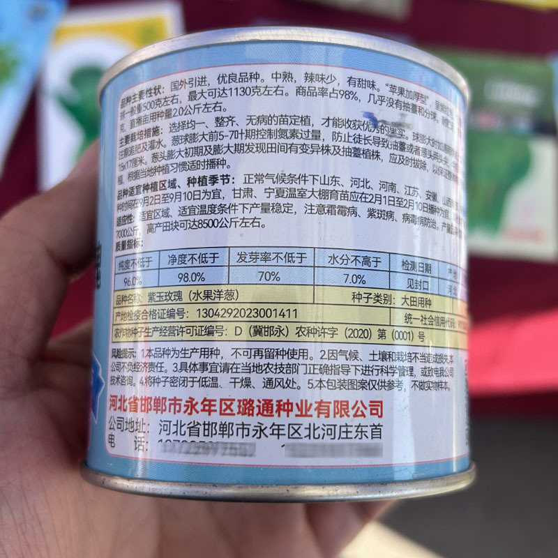 水果洋葱种子紫玉玫瑰甜脆生吃中熟抗重茬抗病耐寒