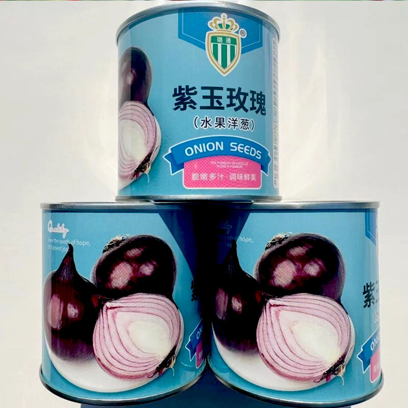 水果洋葱种子紫玉玫瑰甜脆生吃中熟抗重茬抗病耐寒