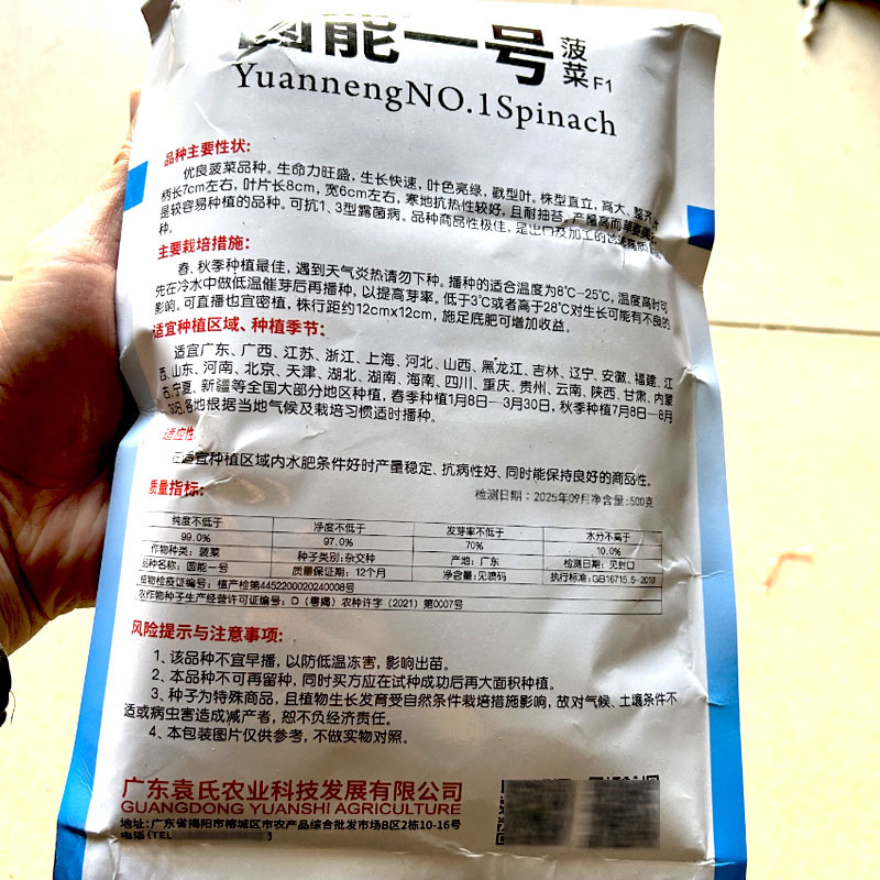 大叶菠菜种子圆能一号高产耐寒耐热耐抽苔农家大田种植