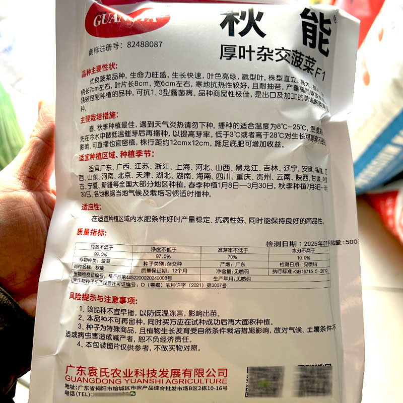 秋能厚叶杂交菠菜种子叶亮绿色直立高大耐寒耐热春秋种植