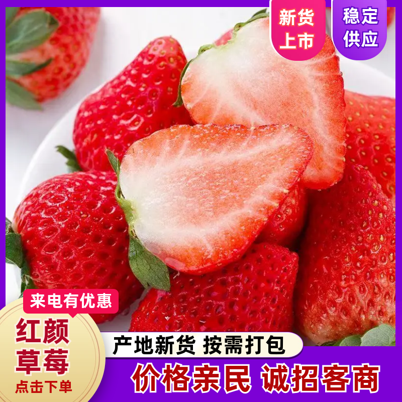 【精品】丹东99草莓产地直发新鲜采摘电商团购渠道商超