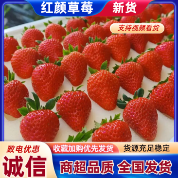丹东99草莓大量上市产地供货可对接电商