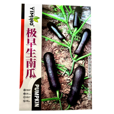 极早生南瓜种子七叶早一叶一瓜雌花多节瓜多基地种植