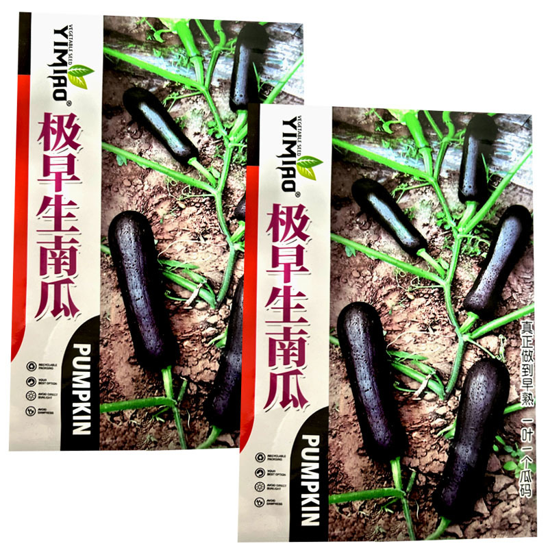 极早生南瓜种子七叶早一叶一瓜雌花多节瓜多基地种植