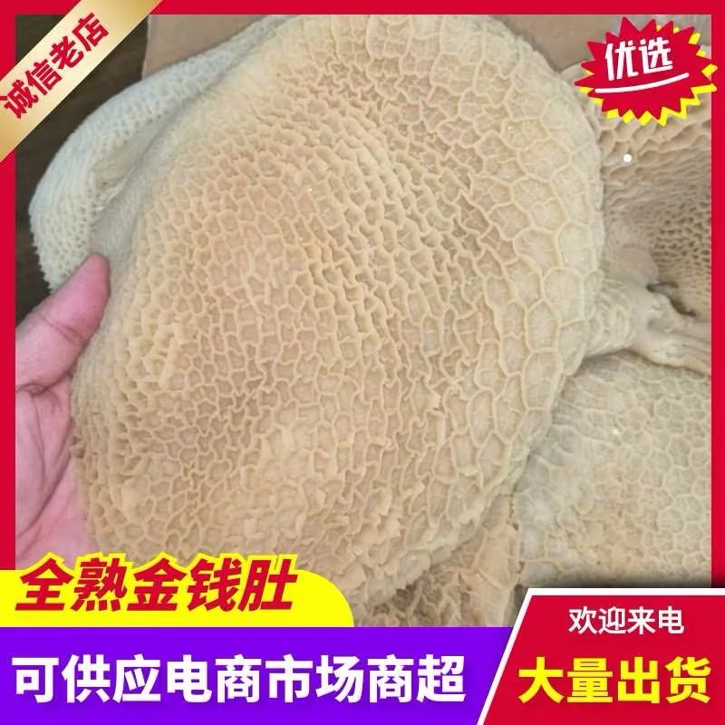 【熟金钱肚】批发50斤水煮全熟牛肚金钱肚