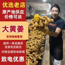 风干姜/水洗姜加工出口市场商超质量保证全国发货