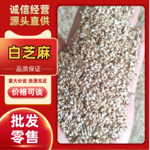 白芝麻优质白芝麻大量上市中，物美价廉，产地直发。