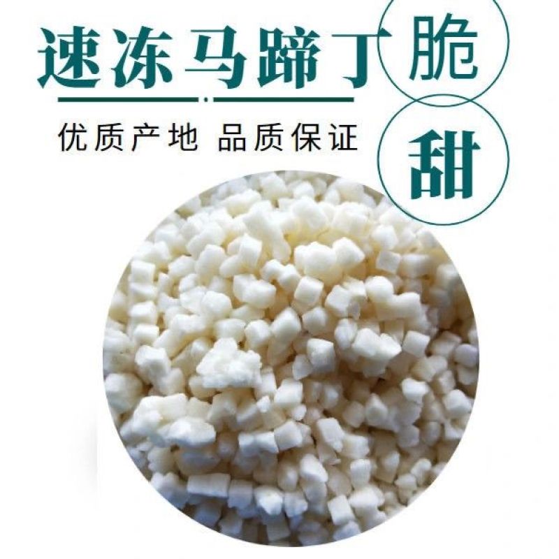 冷冻马蹄丁荸荠丁8*8mm包饺子馄饨奶茶店去皮6*6mm