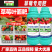 施力龙草莓专用叶面肥膨大增产草莓拉长素果实膨大增甜