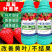 施力龙草莓专用叶面肥膨大增产草莓拉长素果实膨大增甜