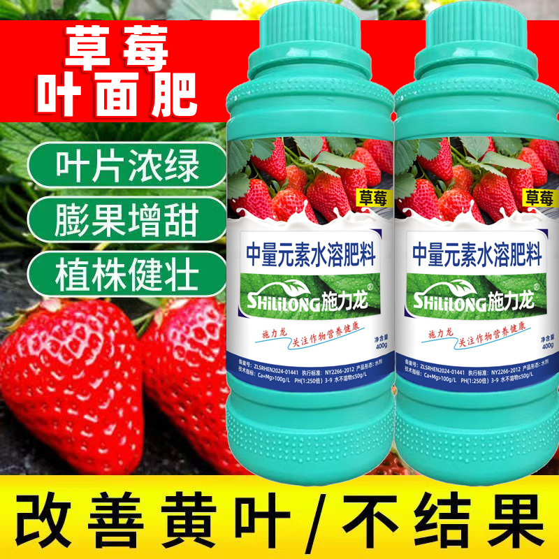 施力龙草莓专用叶面肥膨大增产草莓拉长素果实膨大增甜