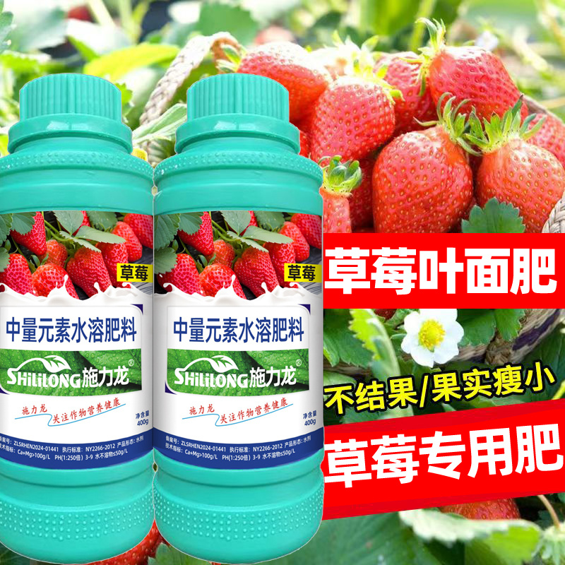 施力龙草莓专用叶面肥膨大增产草莓拉长素果实膨大增甜