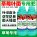 施力龙草莓专用叶面肥膨大增产草莓拉长素果实膨大增甜