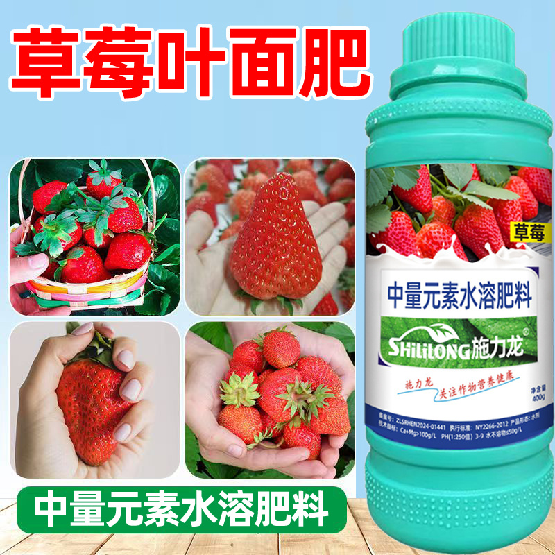 施力龙草莓专用叶面肥膨大增产草莓拉长素果实膨大增甜