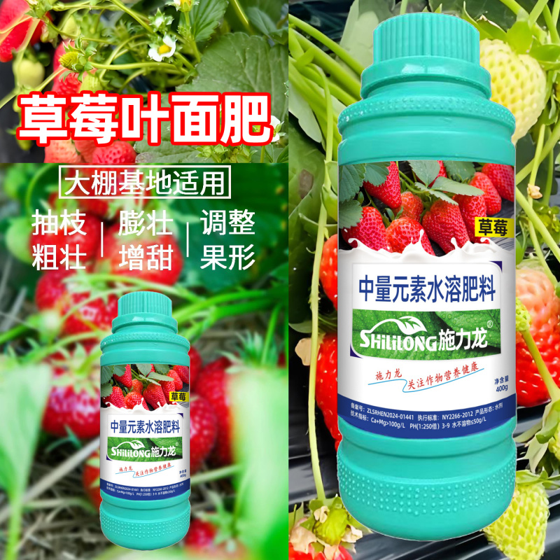 施力龙草莓专用叶面肥膨大增产草莓拉长素果实膨大增甜
