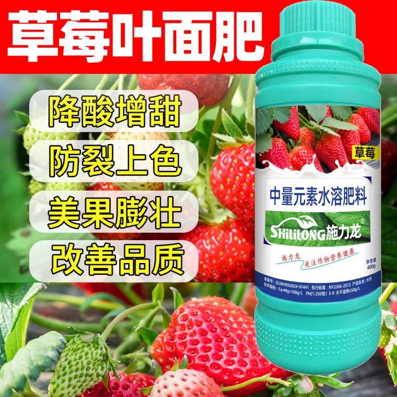 施力龙草莓专用叶面肥膨大增产草莓拉长素果实膨大增甜