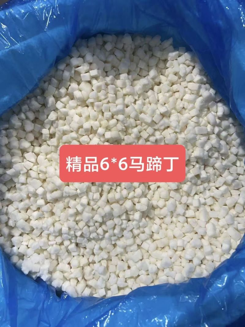 可大批量整顿发货冷冻马蹄丁荸荠丁8*8mm去皮6*6mm