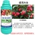 荔枝龙眼专用叶面肥提高授粉膨果增甜防落果水溶肥