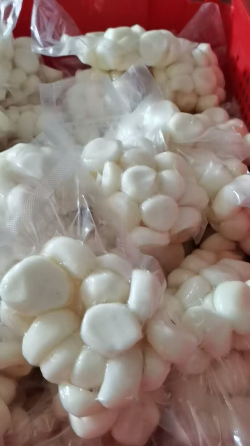 可大批量发去皮马蹄水果脆甜真空包装现削荸荠地梨蔬菜地栗