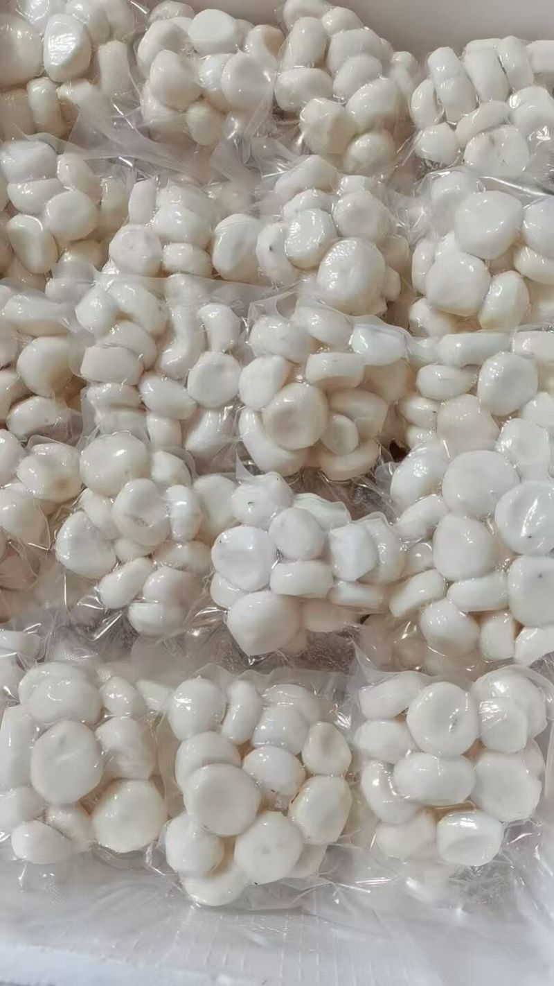 可大批量发去皮马蹄水果脆甜真空包装现削荸荠地梨蔬菜地栗