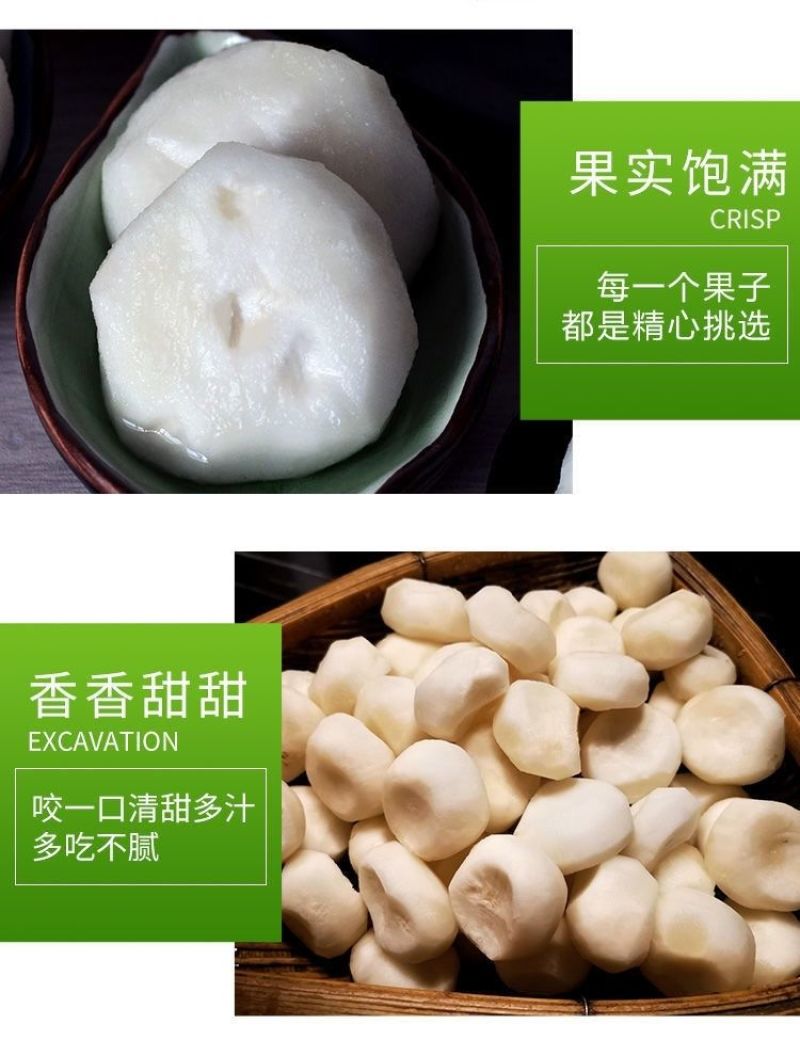可大批量发去皮马蹄水果脆甜真空包装现削荸荠地梨蔬菜地栗