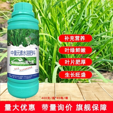 韭菜叶面肥韭菜粗壮黑又亮强力生根叶色浓绿叶片肥厚茎秆粗壮