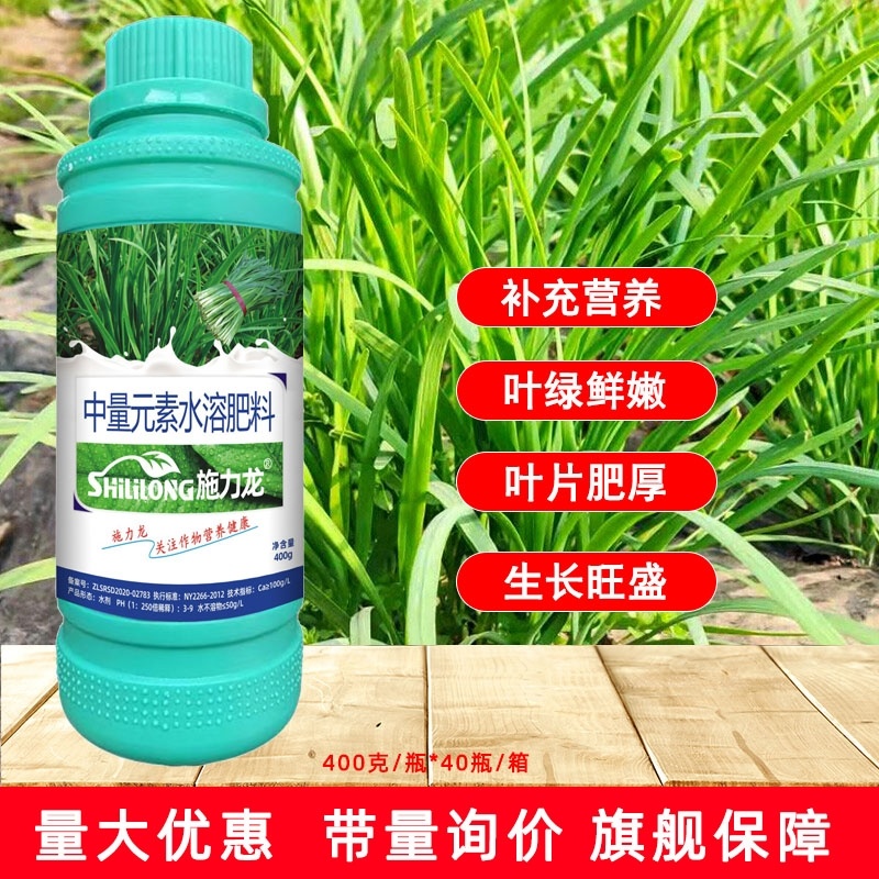 韭菜叶面肥韭菜粗壮黑又亮强力生根叶色浓绿叶片肥厚茎秆粗壮