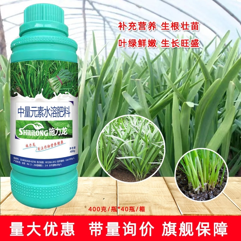 韭菜叶面肥韭菜粗壮黑又亮强力生根叶色浓绿叶片肥厚茎秆粗壮