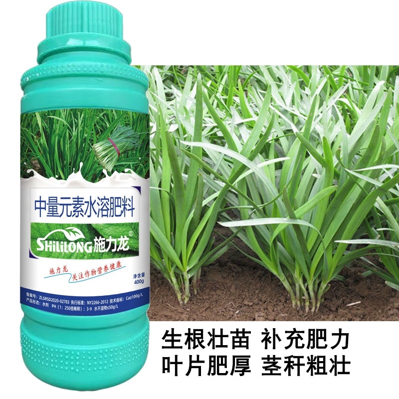 韭菜叶面肥韭菜粗壮黑又亮强力生根叶色浓绿叶片肥厚茎秆粗壮