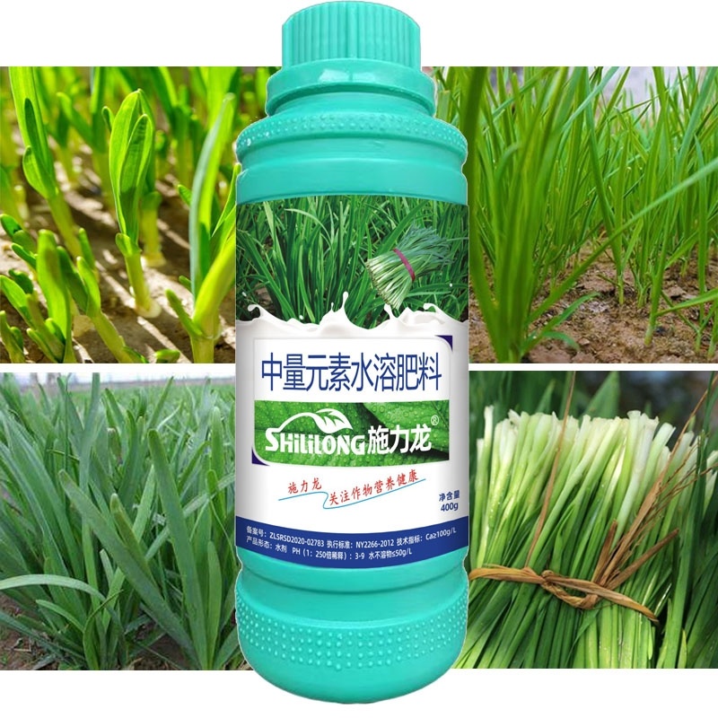 韭菜叶面肥韭菜粗壮黑又亮强力生根叶色浓绿叶片肥厚茎秆粗壮