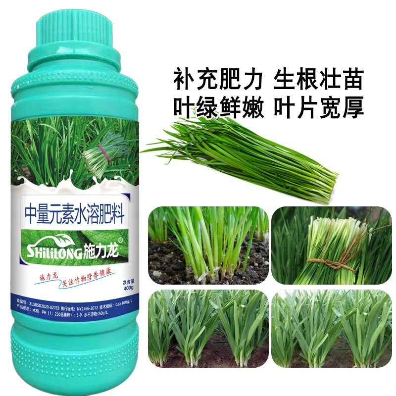 韭菜叶面肥韭菜粗壮黑又亮强力生根叶色浓绿叶片肥厚茎秆粗壮