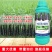 施力龙甘蔗专用叶面肥增粗防裂增甜抗倒水溶肥甘蔗拉长膨大素