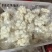可批发大量冷冻马蹄去皮马蹄优质当季去皮马蹄