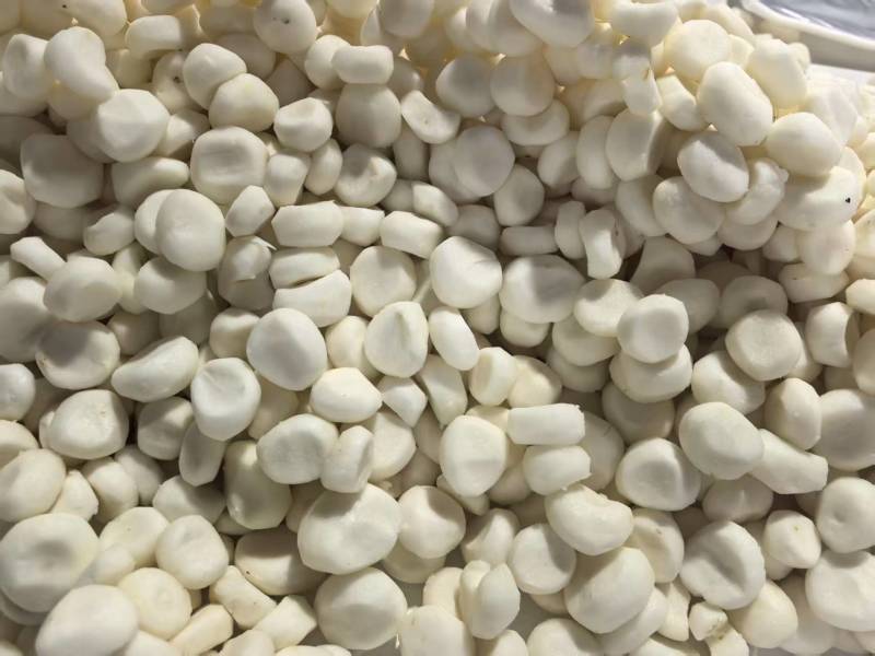 可批发大量冷冻马蹄去皮马蹄优质当季去皮马蹄