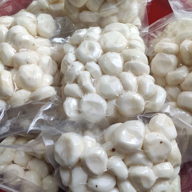 可批发大量冷冻马蹄去皮马蹄优质当季去皮马蹄