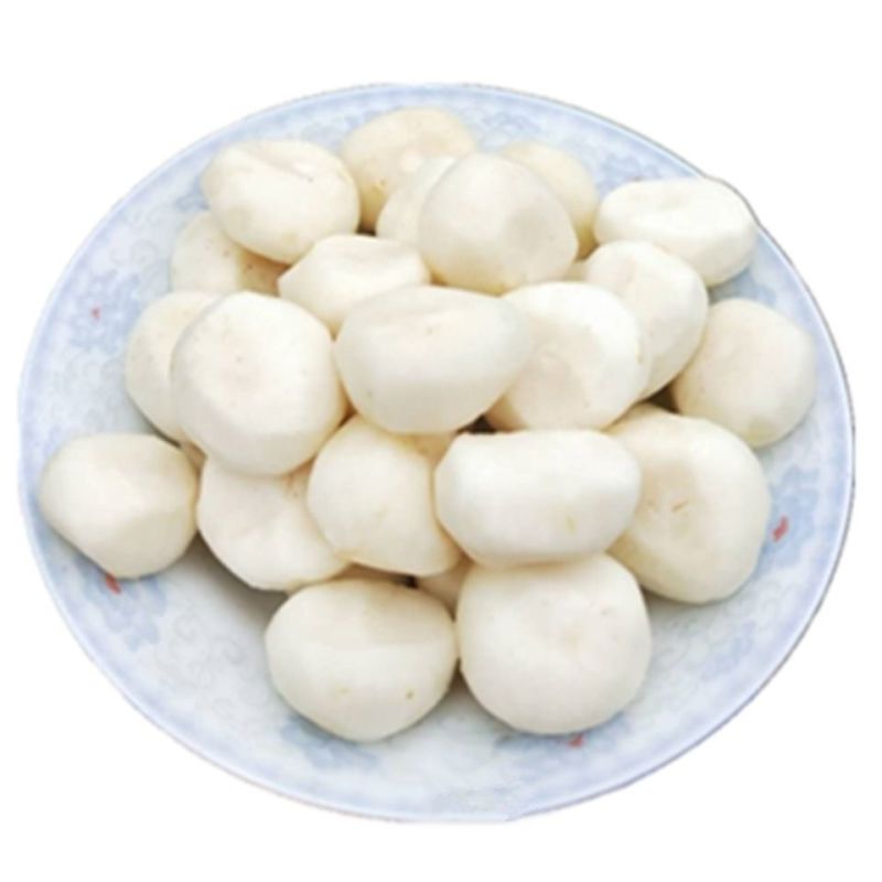 可批发大量冷冻马蹄去皮马蹄优质当季去皮马蹄