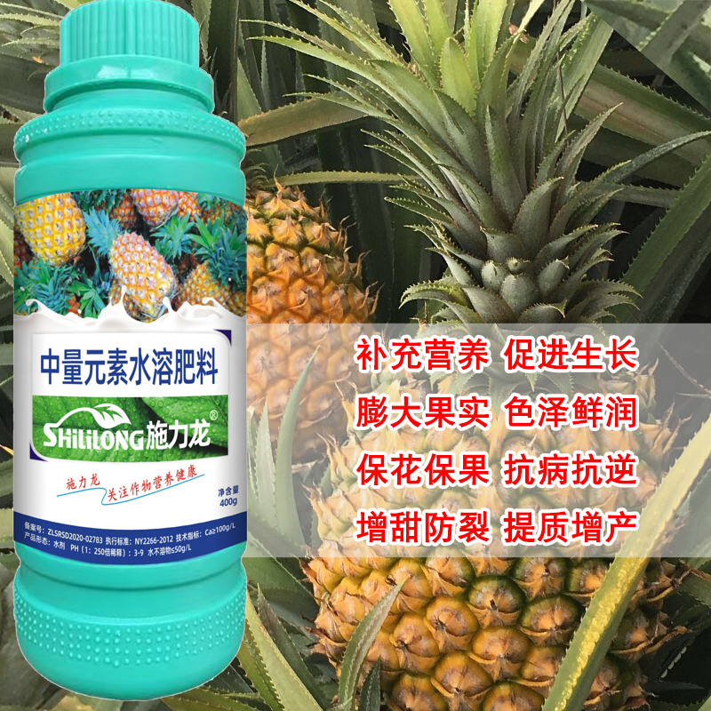 施力龙菠萝专用叶面肥膨果增甜防裂增长菠萝肥料凤梨氨基酸液