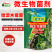 侧孢芽孢杆菌微生物菌剂土壤改良剂哈茨木霉菌增根壮苗生物消