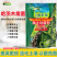 侧孢芽孢杆菌微生物菌剂土壤改良剂哈茨木霉菌增根壮苗生物消