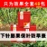 花生套餐三遍药高产套餐防病控旺专用肥抗衰保果膨果