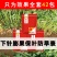 花生套餐三遍药高产套餐防病控旺专用肥抗衰保果膨果